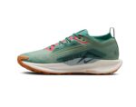 Nike Pegasus Trail 5 GORE-TEX Mens Trail-Running Shoes - Image 2